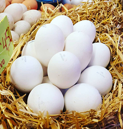 Huevos blancos