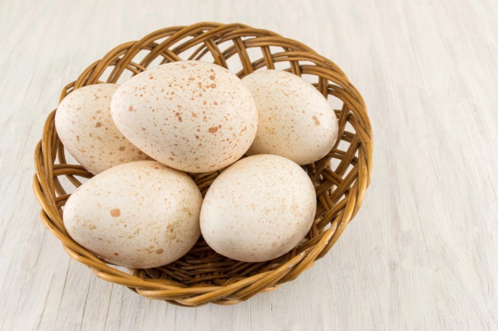 Pava (Pequeña)