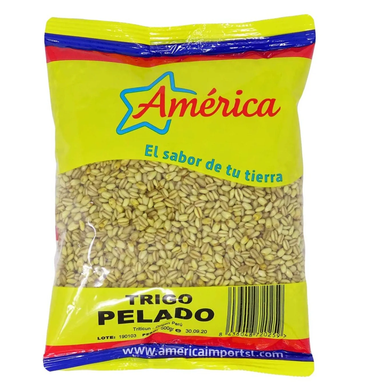 Trigo pelado AMERICA